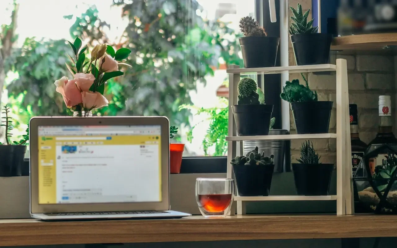 Ein offener Laptop auf einem Holztisch vor einem Fenster mit Topfpflanzen, Tageslicht